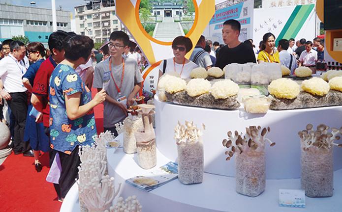 菌菇为媒共建"朋友圈—第一届中国(古田)食用菌大会举行